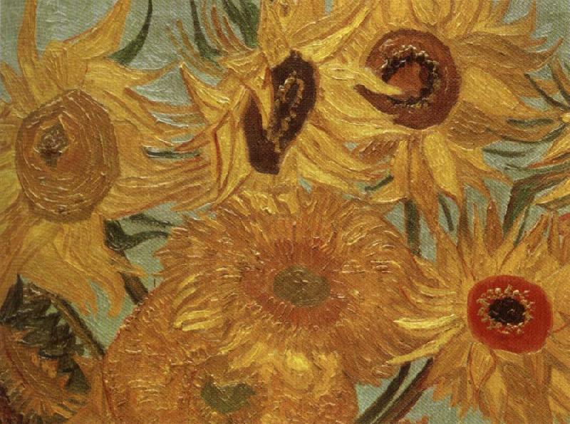 Vincent Van Gogh Sunflowers